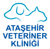 Ataşehir 7/24 Veteriner - Ataşehir Veteriner Kliniği